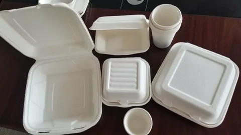 تصویر 4 از ظرف گیاهی اصفهان با دوام بالا و بسته‌ بندی استاندارد